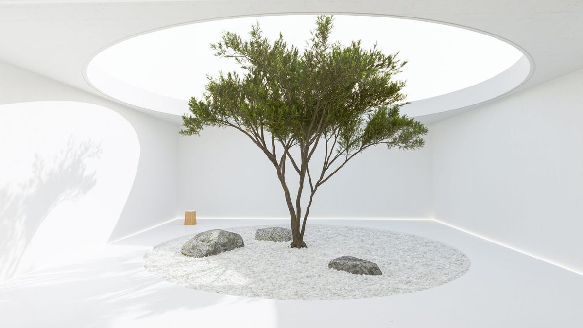 A calm tree in a minimalist white courtyard, held quietly by a circle of stones